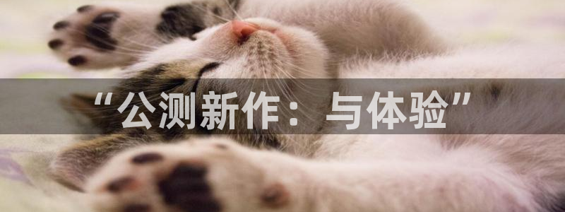 db电竞官网平台怎么样可靠吗：“公测新作：与体验”