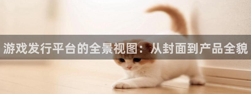 db电竞官网客服服务电话号码：游戏发行平台的全景视图：从封面到产品全貌