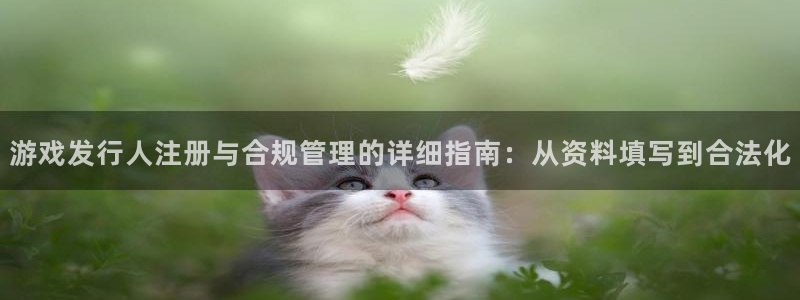 广州db电竞网络科技有限公司电话：游戏发行人注册与合规管理的详细指南：从资料填写到合法化