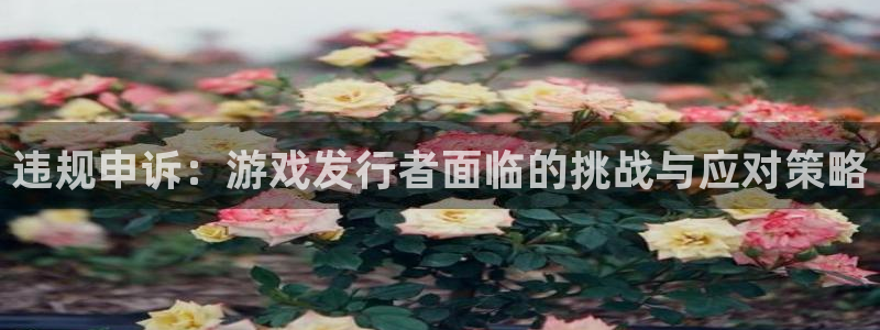 db电竞官网平台招商qq：违规申诉：游戏发行者面临的挑战与应对策略