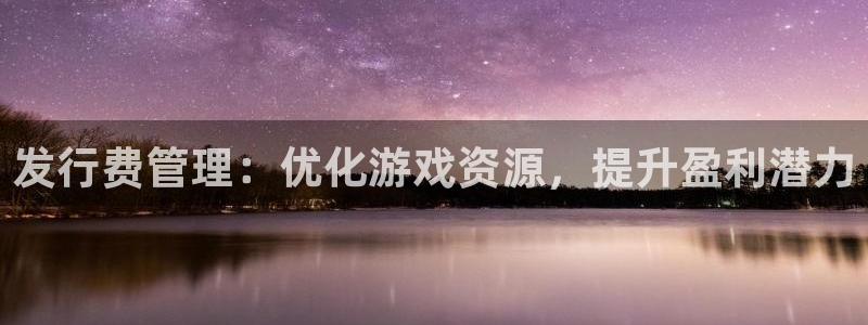 陕西db电竞子文化公司有什么游戏：发行费管理：优化游戏资源，提升盈利潜力
