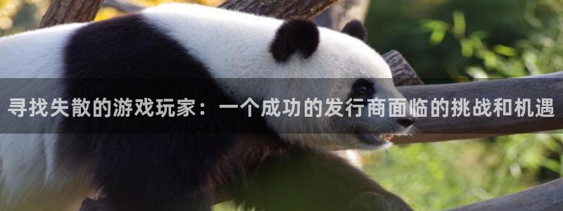 db电竞子图片高清图片：寻找失散的游戏玩家：一个成功的发行商面临的挑战和机遇
