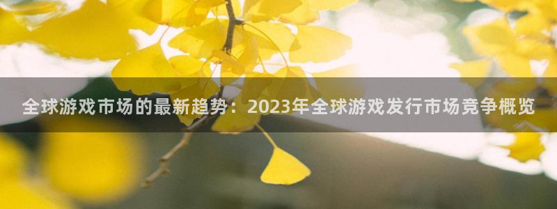 db电竞官网平台代理条件怎么样