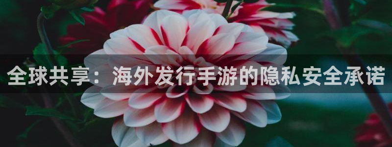 db电竞官网的钱能提出来吗