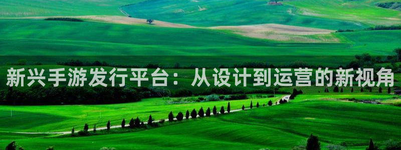 db电竞官网游戏平台高奖金玩法
