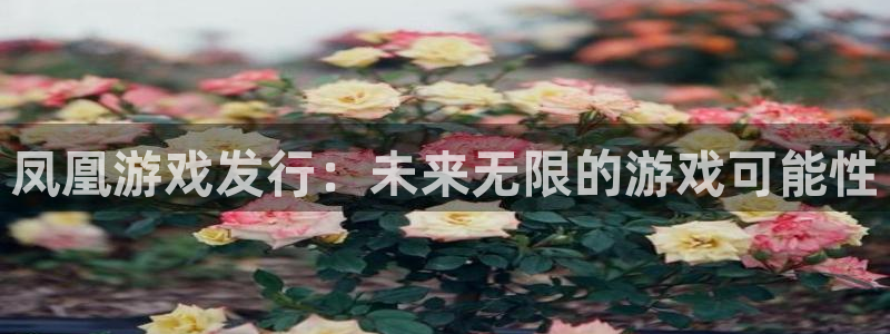 db电竞子财经丛书