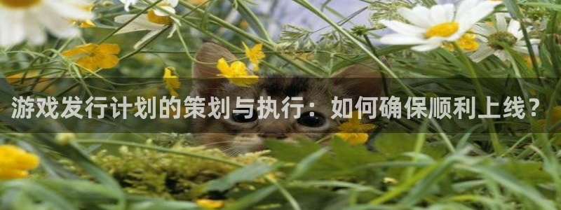 db电竞官网开户待遇：游戏发行计划的策划与执行：如何确保顺利上线？