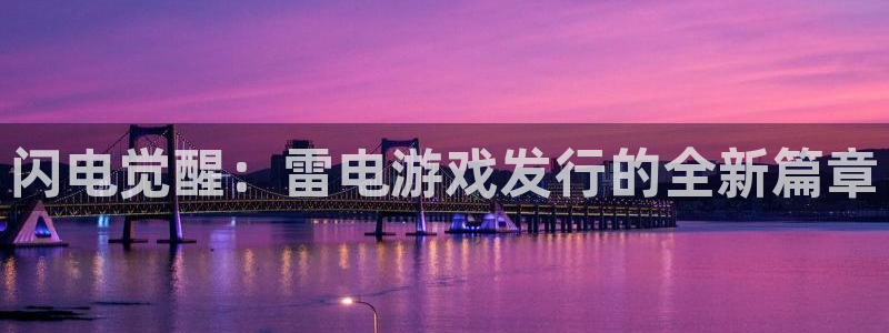 db电竞子经理人读后感：闪电觉醒：雷电游戏发行的全新篇章