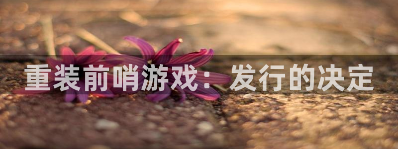 db电竞子招聘