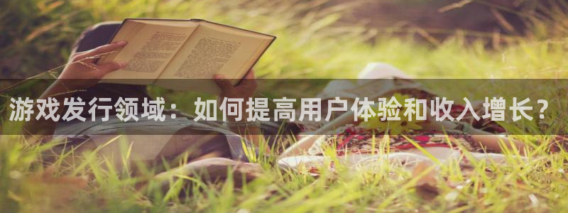 db电竞科技：游戏发行领域：如何提高用户体验和收入增长？