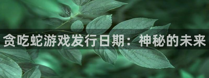 db电竞集团