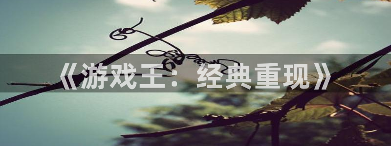 db电竞电子商务有限公司怎么样啊：《游戏王：经典重现》