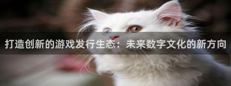 db电竞官网游戏怎么注册：打造创新的游戏发行生态：未来数字文化的新方向